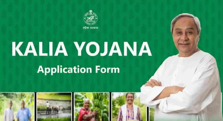 Kaliya Yojana List 2024: Eligible, District-by-District Status Verification, Online Application