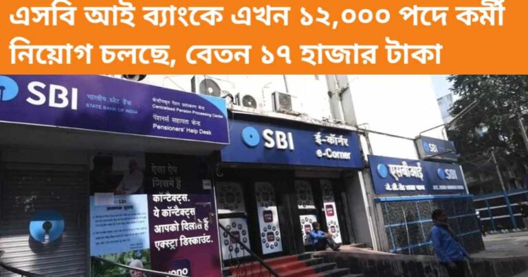 SBI‌ FY Recruitment 2024: এসবি আই ব্যাংকে এখন 12 হাজার পদে কর্মী নিয়োগ চলছে, বেতন ১৭ হাজার টাকা