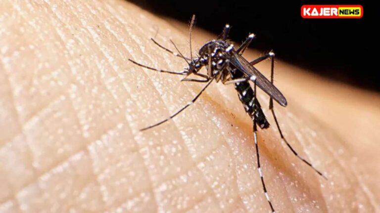 European dengue fever cases are being caused by tiger mosquitoes.