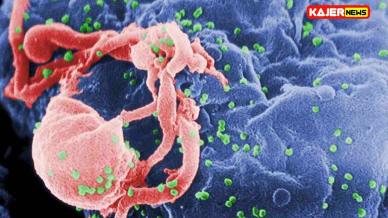 Four recent research reveal advancements in the long-awaited HIV vaccine.