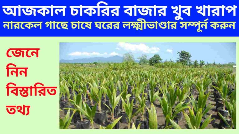 The job market is very bad these days! So, without expecting a job, complete your household wealth by cultivating coconut trees, know the details.