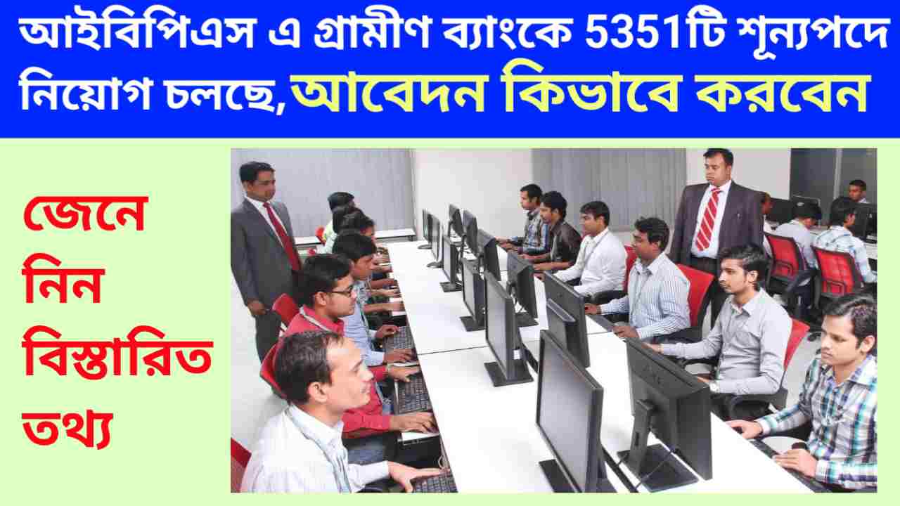 IBPS Job Recruitment 2024 আইবিপিএস এ গ্রামীণ ব্যাংকে 5351টি শূন্যপদে নিয়োগ চলছে, আবেদন কিভাবে করবেন জেনে নিন বিস্তারিত - kajernews 