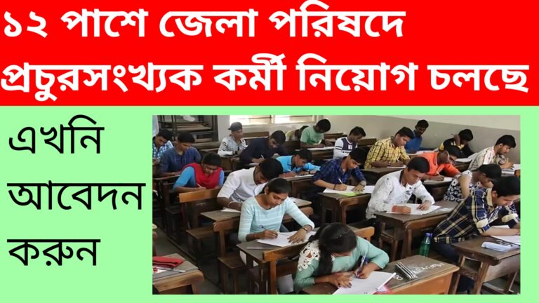 ১২ পাশে জেলা পরিষদে প্রচুরসংখ্যক কর্মী নিয়োগ চলছে, এখনি আবেদন করুন kajernews 